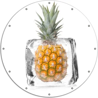 Produktbild von Wallario rundes Outdoor-Poster für Garten oder Balkon, Motiv Ananas in Eiswürfel - Eiskaltes Obst, 120 cm Durchmesser