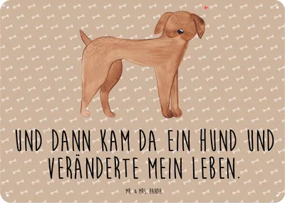 Produktbild von Mr. & Mrs. Panda Schild Hund Dogge DIN A5 - Hundeglück - Geschenk, Herz, Sprüche, Magnetschild, Deutsche, Blechschild, Hunde, tafel, Türschild, Wandbild