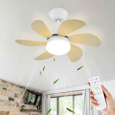 Image de ZMH Ventilateur de plafond avec lumière et télécommande Silencieux - plafonnier 6 pales Ø75 cm Ventilateur Timing Plafonnier Lumière unique Valve