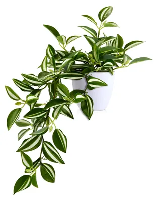 Produktbild von Kunstpflanze 38 cm - Künstliche Pflanzen für Deko im Wohnzimmer, Balkon, Schlafzimmer, Badezimmer und als Tischdeko (1 Stück)