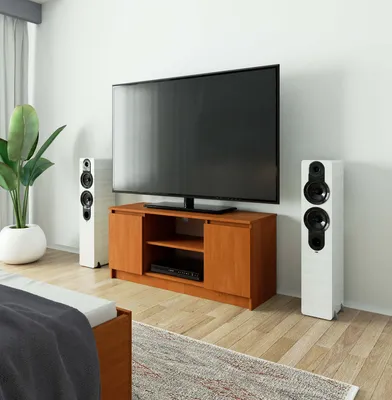 Immagine prodotto di Mobile TV basso da 120 cm con 2 ante e 1 ripiano aperto, mobile TV alto 55 cm CLP