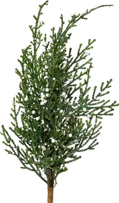 Produktbild von Künstlicher Zweig 27cm mit weißen Beeren Grün / Weiß