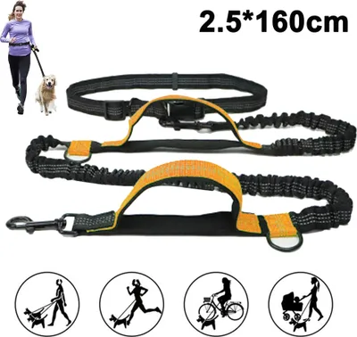 Produktbild von Hundefreund Joggingleine für große Hunde ab 15 kg | Elastische Freihandleine mit leichtem Bauchgurt | Abnehmbare Hundeleine mit 2 weichen Schlaufen | Orange Laufleine (160 cm, dehnbar bis 260 cm)