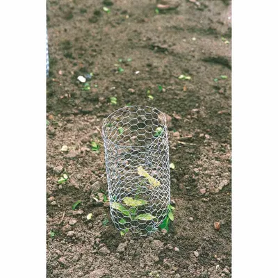 Produktbild von Betafence Hexanet verzinkt 13/0.7/1000/10 m
