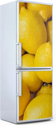 Produktbild von Magnete Dekorative - 60 cm x 180 cm - Küche Magnetmatte Kühlschrankmagnete - Gelbe Zitronen