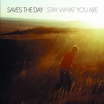 Produktbild von Saves The Day: Stay What You Are (25th Anniversary Edition) (Yellow/Red Splatter Vinyl)