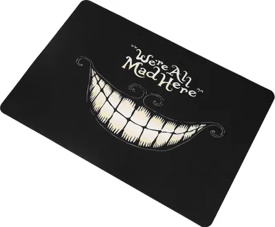 Obrázek produktu pro 1 kus vtipná gumová rohožka, protiskluzová rohožka do interiéru i exteriéru - (Všichni jsme tu blázni) 40 x 60 cm
