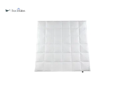 Produktbild von Häussling Traumulus Winter Daunendecke KB 4x6 warm 200x200 cm , Deutsche Manufaktur, auch für Allergiker geeignet, Bezug 100% Baumwolle