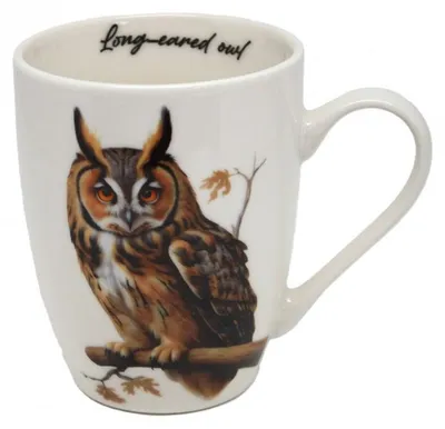Zdjęcie produktu dla Filiżanka, kubek do kawy, porcelana, w eleganckim pudełku, na prezent, sowa, 350 ml