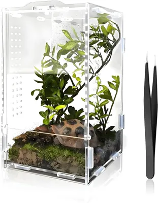 Produktbild von Terrarium 20x12x11 cm, Acryl, für Insekten, Aufzuchtbox, mit Futterpinzette
