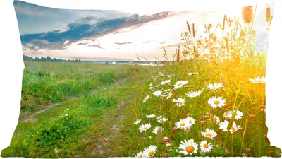 Produktbild von MuchoWow® Zierkissen Sofakissen Wohnzimmer Dekokissen 60x40 cm Blumen - Gänseblümchen - Natur - Sonne - Horizont - Kopfkissen - Polster mit Foto