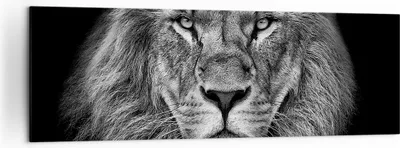 Produktbild von Bild auf Leinwand - Leinwandbild - Einteilig - Porträt Löwe Schwarzweiß - 160x50cm - Wand Bild - Wanddeko - Wandbilder - Leinwanddruck - Bilder - Wanddekoration - Leinwand bilder - AB160x50-4494