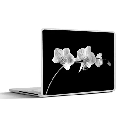 Produktbild von MuchoWow® Laptop Aufkleber Sticker Cover Orchidee - Blumen - Schwarz - Rosa - Knöpfe 32.5x23.5 cm - Sticker für Laptop - Selbstklebend