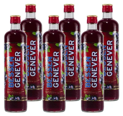 Produktbild von Mijnheer Bessen Genever (6 x 0,7L)