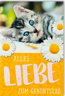 Produktbild von Geburtstag - Glückwunschkarte im Format 11,5 x 17 cm mit Umschlag