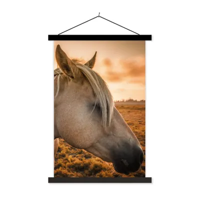 Produktbild von MuchoWow® Textilposter Pferd - Tiere - Porträt 120x180 cm mit schwarzem Rahmen - Fotos