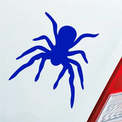 Produktbild von Auto Aufkleber Spinne Spider giftig Tier Ekel 10x10,5 cm Dunkelblau Sticker Heckscheibenaufkleber