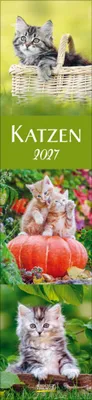 Produktbild von Katzen Langplaner 2027: Langplaner