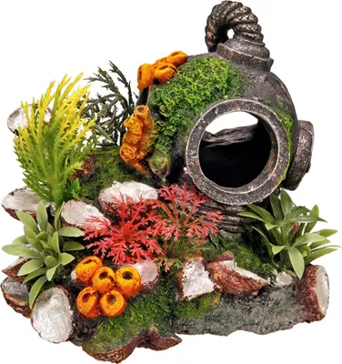Immagine prodotto di Aqua Ornamenti "HELM" con piante 13,5 x 11 x 12 cm