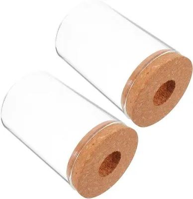 Produktbild von Hydroponische Pflanzenflasche - Glasvase - Pflanzen wachsen - Luftzirkulationsloch - 2 Stück - Transparent