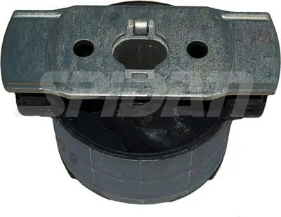 Produktbild von SPIDAN CHASSIS PARTS 411719 Achslager für RENAULT LAGUNA III Grandtour (KT0/1) Hinten Links