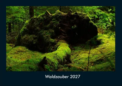 Produktbild von Waldzauber 2027 Fotokalender DIN A4