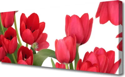 Produktbild von Tulup Leinwand-Bilder 125x50 Wandbild Canvas Kunstdruck Tulpen Pflanzen