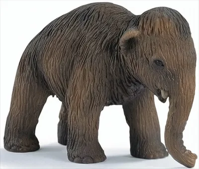 Produktbild von schleich Mammut Baby, 3 Jahr(e), Braun, Kunststoff