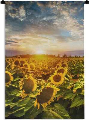 Produktbild von MuchoWow® Wandteppich Wandbehang Blumen - Sonnenblume - Himmel 60x90 cm Tapisserie Dekoration Wandtuch - Foto-Teppich - Abwaschbar