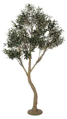 Immagine prodotto di Ulivo artificiale Clayre & Eef 250 cm in plastica verde