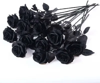 Image de 12 roses noires artificielles, tiges de 53 cm, roses noires artificielles réalistes pour Halloween, décorations de mariage, tombes, anniversaires, fêtes, décoration d'intérieur et de jardin.