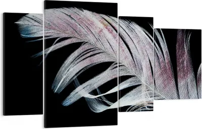 Produktbild von Bild auf Leinwand - Leinwandbild - 4 Teile - Feder die Farben Zartheit - 120x70cm - Wand Bild - Wanddeko - Wandbilder - Leinwanddruck - Bilder - Wanddekoration - Leinwand bilder - DL120x70-4959