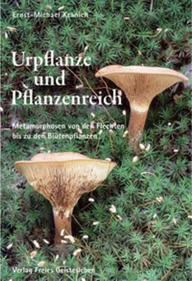 Obrázek produktu pro Urpflanze und Pflanzenreich