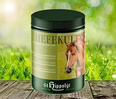 Produktbild von St. Hippolyt Hefekultur 1 kg - Zur Aktivierung der Darmflora