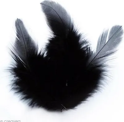 Produktbild von 70 schwarze Hahnenfedern, 10 cm lang