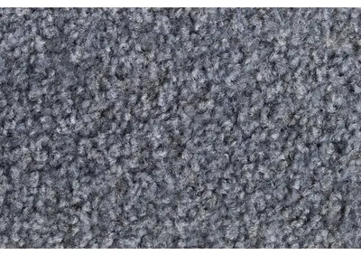 Produktbild von Schmutzfangmatte Eazycare Uniq 40x60cm grau.