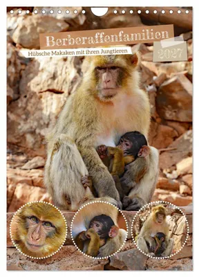 Produktbild von Berberaffenfamilien (Wandkalender 2027 DIN A4 hoch), CALVENDO Monatskalender