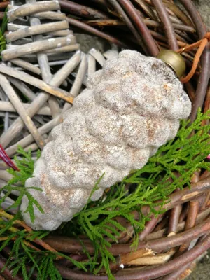 Produktbild von Christbaumkugel Zapfen Mikana 13 cm, beige