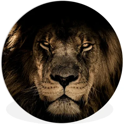 Produktbild von MuchoWow® Rundes Wandbild - Runde Bilder Löwe - Tiere - Schwarz - Porträt Ø 30 cm Kreis Wanddekoration Kunststoff - Wandkreis - Wandschmuck - Schlafzimmer - Bilder - Der Kreis - Kunst für die Wohnung - Plastik - Kunstdruck - Wandbild