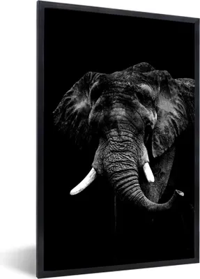 Produktbild von MuchoWow® Gerahmtes Poster Elefant vor schwarzem Hintergrund - schwarz und weiß 20x30 cm - Poster mit Schwarzem Bilderrahmen Wandposter Rahmen Foto Bilder - Drucken - Bilder Poster im Rahmen