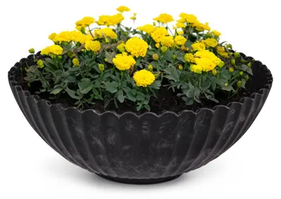 Produktbild von Dekoschale runde Pflanzschale für draussen schwarz marmoriert 16 cm