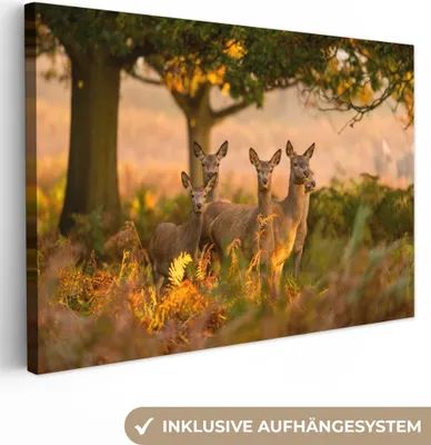 Obrázek produktu pro OneMillionCanvasses® - Plátno - Podzim - Slunce - Jelen, nástěnná malba, nástěnné dekorace obrazy obývací pokoj, 120x80cm