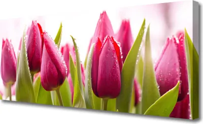 Produktbild von Tulup Leinwand-Bilder 125x50 Wandbild Canvas Kunstdruck Tulpen Pflanzen