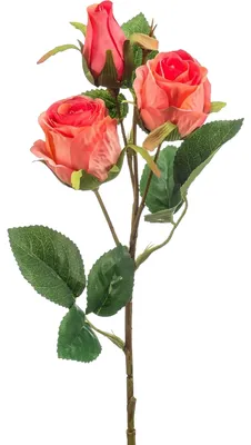Produktbild von Emerald Künstliche Rose - Yafet | 44 cm, Steckpflanze, für drinnen, Kunstblume, wie echt, Allergiker geeignet, pflanzliche Dekoration Praxis, Office & Wohnzimmer