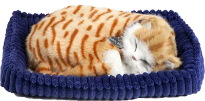 Image de Perfect Petzzz Soft Orange Cat