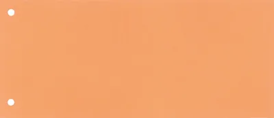 Produktbild von Trennstreifen 10,5x24cm Karton orange 100 Stück Packung mit 30 Stück