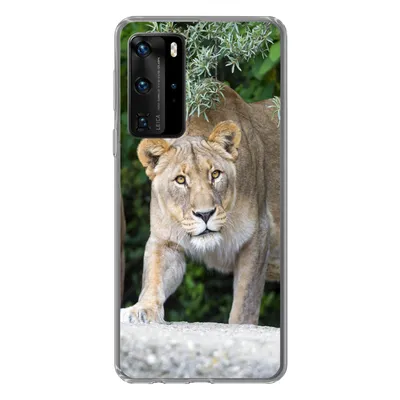 Produktbild von MuchoWow® Handyhülle Schutzhülle Hülle für Huawei P40 Pro Löwinnen - Wilde Tiere - Jagd Silikon Softcase Handy Hülle - Schutz