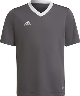 Produktbild von adidas Entrada 22 Trikot 116 TEGRFO