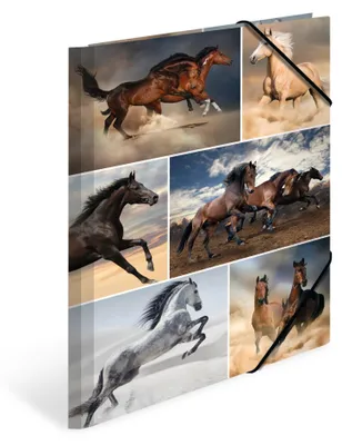 Image de Chemise A4 en carton Cheval Pack de 3 pièces