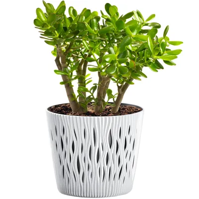 Zdjęcie produktu dla Doniczka Sandy Round biała 15,8 cm